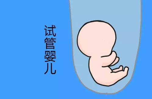 单身生育力保存